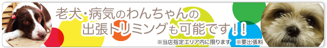 出張トリミング※当店指定エリア内に限ります