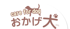 care for dog おかげ犬