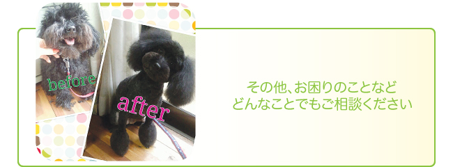 その他、お困りのことなどどんなことでもご相談ください その他、お困りのことなどどんなことでもご相談ください