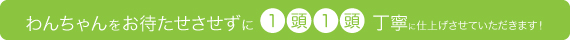 わんちゃんをお待たせさせずに１頭１頭丁寧に仕上げさせていただきます！