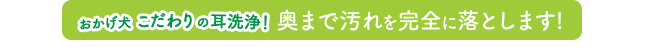 おかげ犬こだわりの耳洗浄！奥まで汚れを完全に落とします!